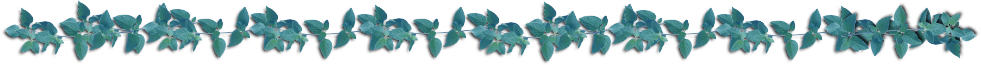 想いの蔦は絡まる Ivy is entangled